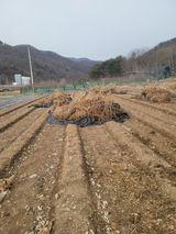 팜모닝 고추·영농일지 게시글 이미지