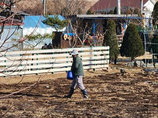 김정태님의 기타작물 · 영농일지 작성글 사진