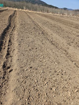 성실한 농부님의 파 · 영농일지 작성글 사진