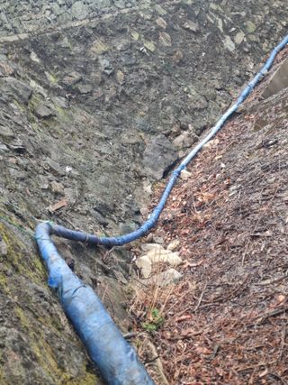 김용대님의 기타작물 · 영농일지 작성글 사진