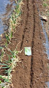 주윤발이님의 작성글 사진