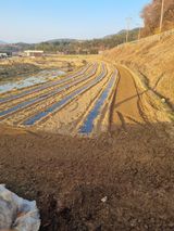 고기만님의 작성글 사진