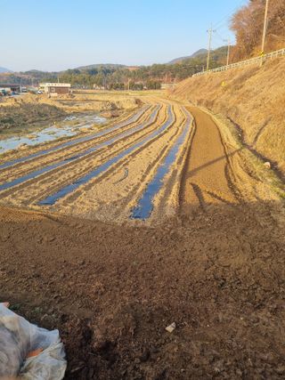 고기만님의 호박 · 영농일지 작성글 사진