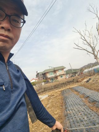 권병☆님의 마늘 · 영농일지 작성글 사진