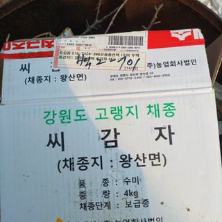 김진영님의 감자 · 영농일지 작성글 사진