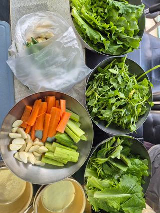 이경옥님의 기타작물 · 영농일지 작성글 사진