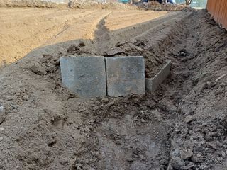 김진현님의 기타작물 · 영농일지 작성글 사진