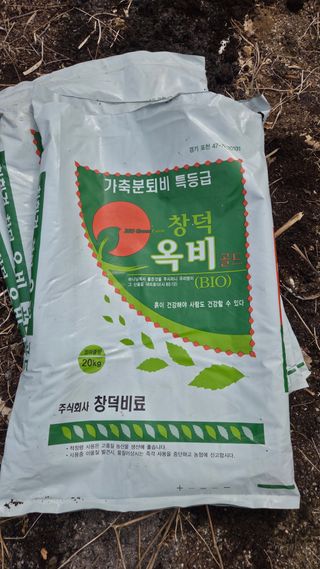  조약돌님의 들깨 · 영농일지 작성글 사진