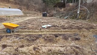  조약돌님의 들깨 · 영농일지 작성글 사진