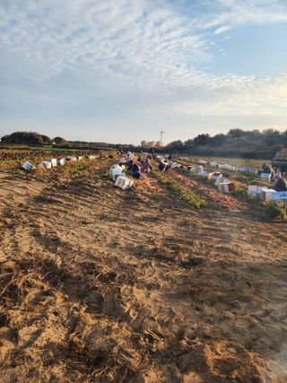 오양석님의 기타작물 · 영농일지 작성글 사진