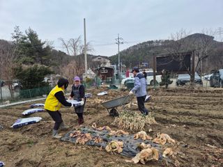 이경옥님의 기타작물 · 영농일지 작성글 사진