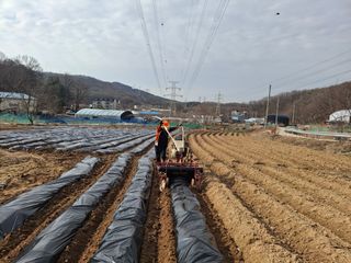 김학수님의 기타작물 · 영농일지 작성글 사진
