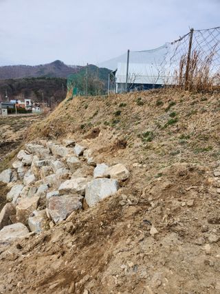 주말농장님의 기타작물 · 영농일지 작성글 사진