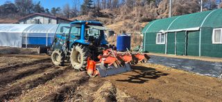 음두임님의 옥수수 · 영농일지 작성글 사진