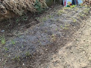 헤이쥬회원님의 기타작물 · 영농일지 작성글 사진