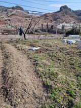 팜모닝 파·영농일지 게시글 이미지