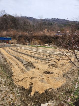 주말농장님의 기타작물 · 영농일지 작성글 사진