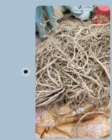 서성환님의 작성글 사진