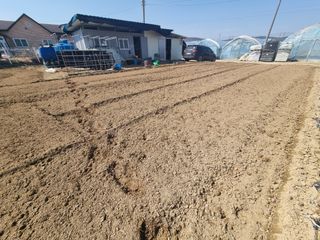 백석읍오산3리조남범님의 기타작물 · 영농일지 작성글 사진