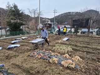 이경옥님의 기타작물 · 영농일지 작성글 사진