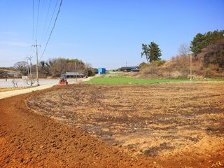 오이8898황산면님의 고추 · 영농일지 작성글 사진