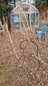 팜모닝 두릅·영농일지 게시글 이미지