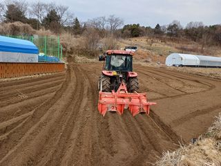 김진현님의 기타작물 · 영농일지 작성글 사진