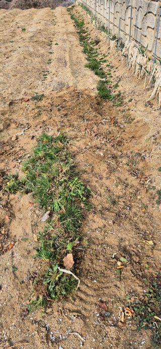 이상윤님의 복숭아 · 영농일지 작성글 사진