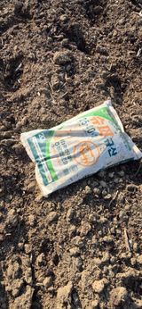 팜모닝 고추·영농일지 게시글 이미지