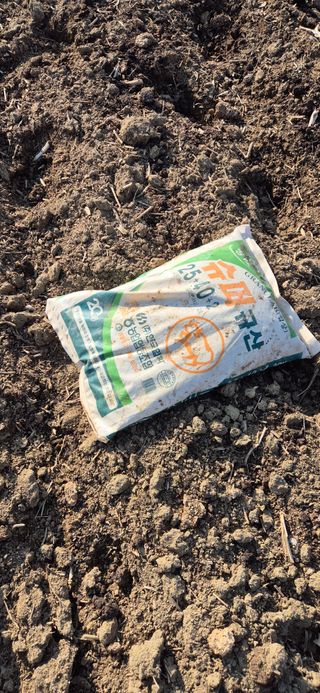 창공 귀농귀촌 초보님의 고추 · 영농일지 작성글 사진