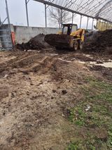 팜모닝 기타작물·영농일지 게시글 이미지