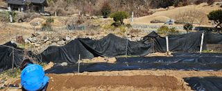 김윤오님의 기타작물 · 영농일지 작성글 사진