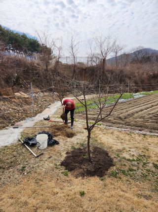 주말농장님의 기타작물 · 영농일지 작성글 사진