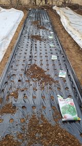 김지철님의 작성글 사진