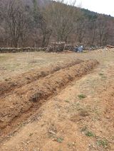 팜모닝 기타작물·영농일지 게시글 이미지