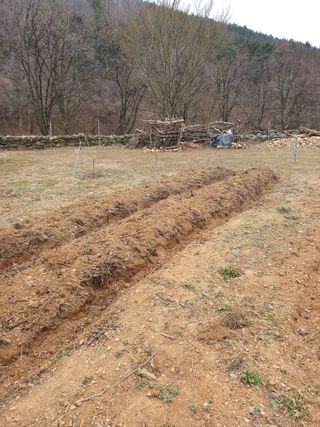 석이아빠님의 기타작물 · 영농일지 작성글 사진