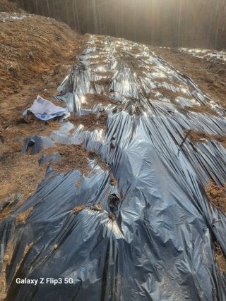 안무환님의 고구마 · 영농일지 작성글 사진