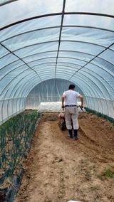 팜모닝 상추·영농일지 게시글 이미지