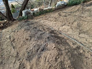 헤이쥬회원님의 기타작물 · 영농일지 작성글 사진