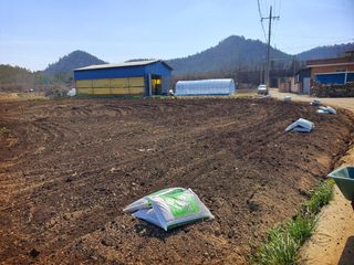 오이8898황산면님의 고추 · 영농일지 작성글 사진