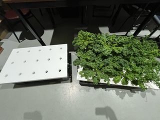 정종배님의 기타작물 · 영농일지 작성글 사진