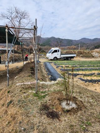 주말농장님의 기타작물 · 영농일지 작성글 사진