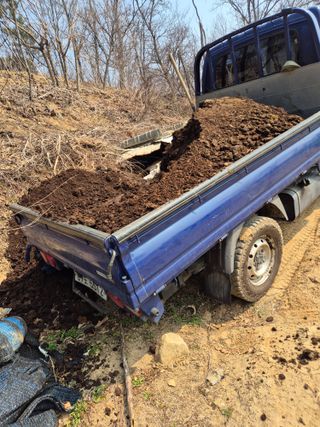 호랑이별님의 기타작물 · 영농일지 작성글 사진