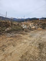 팜모닝 기타작물·영농일지 게시글 이미지