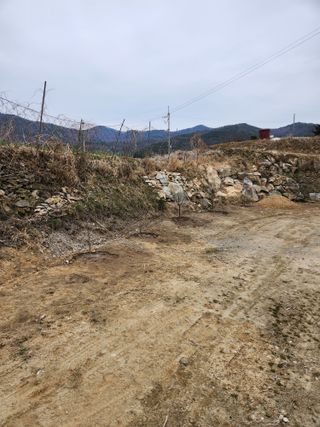 주말농장님의 기타작물 · 영농일지 작성글 사진