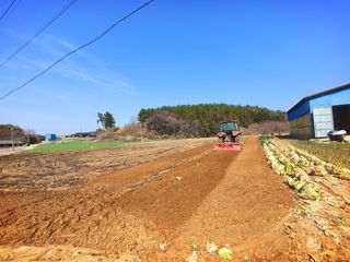 오이8898황산면님의 고추 · 영농일지 작성글 사진