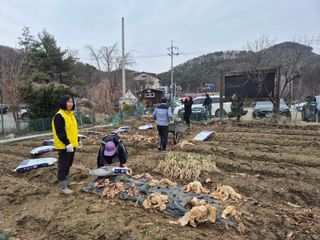 이경옥님의 기타작물 · 영농일지 작성글 사진