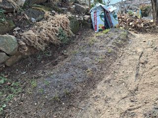 헤이쥬회원님의 기타작물 · 영농일지 작성글 사진