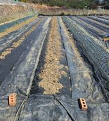 팜모닝 감자·영농일지 게시글 이미지