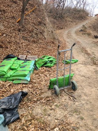 만청님의 자두 · 영농일지 작성글 사진